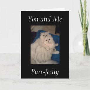 "YOU AND ME PURR-FECTLY" ANNIVERSARY CARD