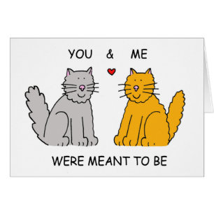 You and me were meant to be romantic cats.
