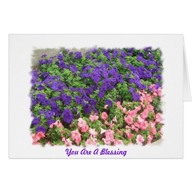 You Are A Blessing (Front Horizontal)