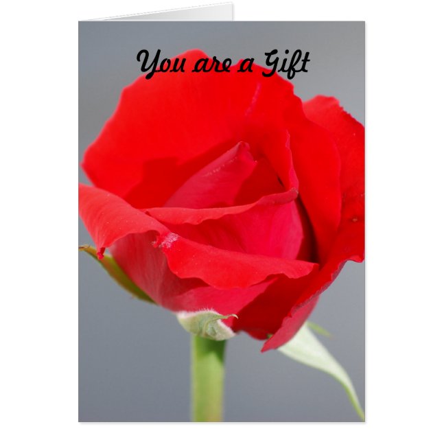 You are a gift (Front)