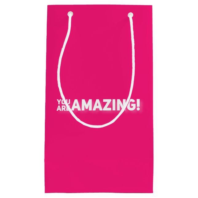 You Are Amazing!  Small Gift Bag (Front)