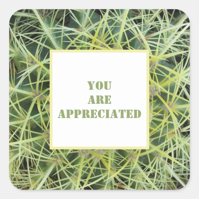 You Are Appreciated Desert Plant Cactus Thank You Square Sticker (Front)