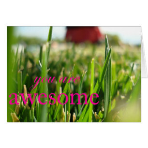 You Are Awesome