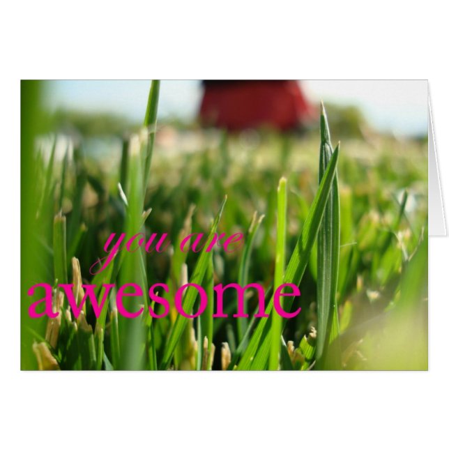 You Are Awesome (Front Horizontal)