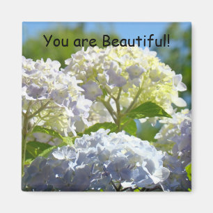 You are Beautiful! magnet Sunlit Hydrangea Flowers