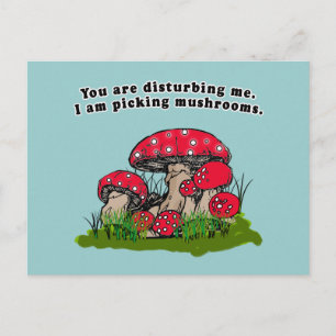 You Are Disturbing Me. I Am Picking Mushrooms Tee Postcard