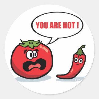 You are hot ! classic round sticker