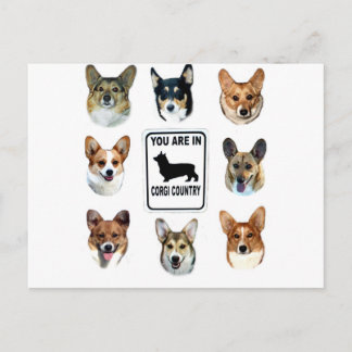 You Are In Corgi Country Postcard