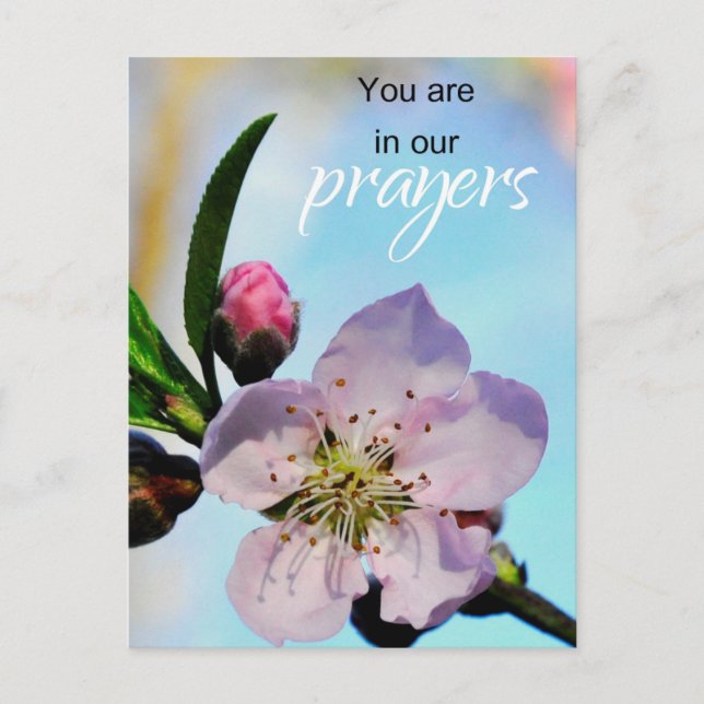You are in Our Prayers Church Congregation Postcard (Front)