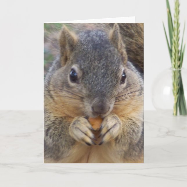 You are invited/ Any Occasion_ Card (Front)