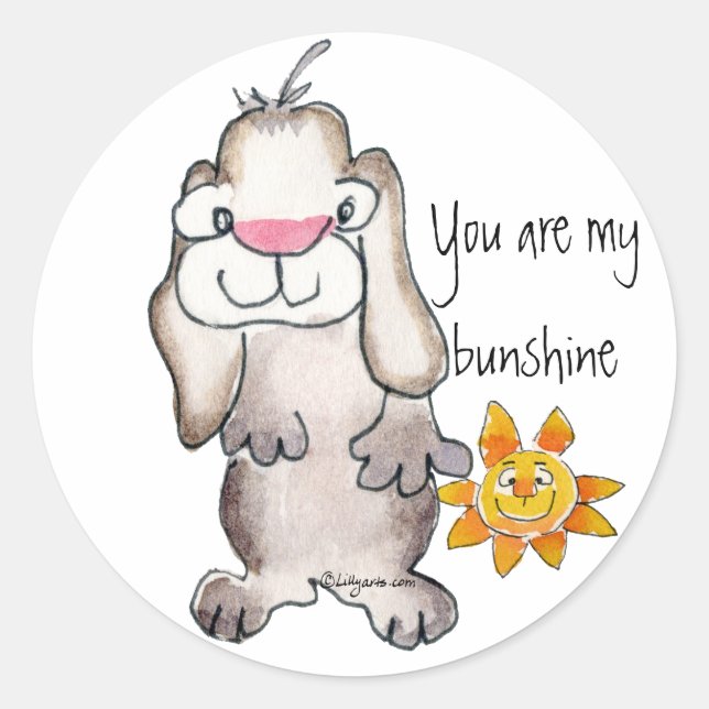 You are my Bunshine- Cartoon Rabbit Sticker (Front)
