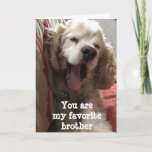 YOU ARE MY FAVORITE ***BROTHER**** BIRTHDAY CARD<br><div class="desc">MY LITTLE "DAKOTA" IS SO READY TO SAY "HAPPY BIRTHDAY" FOR YOU SINCE YOU CAN'T DO IT IN PERSON!!! HOPE YOU LIKE THIS CARD AND THANK YOU SO MUCH FOR STOPPING BY ONE OF MY EIGHT STORES!</div>