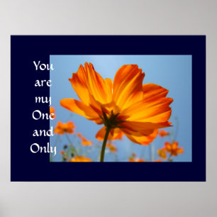 You are My One and Only art print Orange Daisy