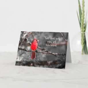 You Are My Ray of Sunshine Card