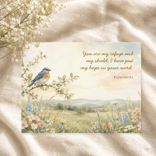 You Are My Refuge Psalm 119:114 Christian  Postcard