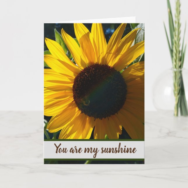 You Are My Sunshine - Blank Inside Card (Front)