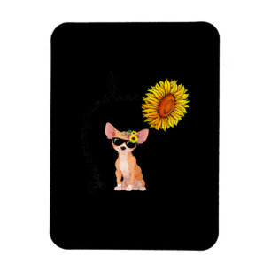 You Are My Sunshine Chihuahua Sunflower Chiahuahua Magnet