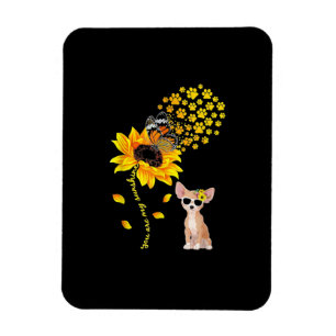 You Are My Sunshine Sunflower Chihuahua Men Women Magnet