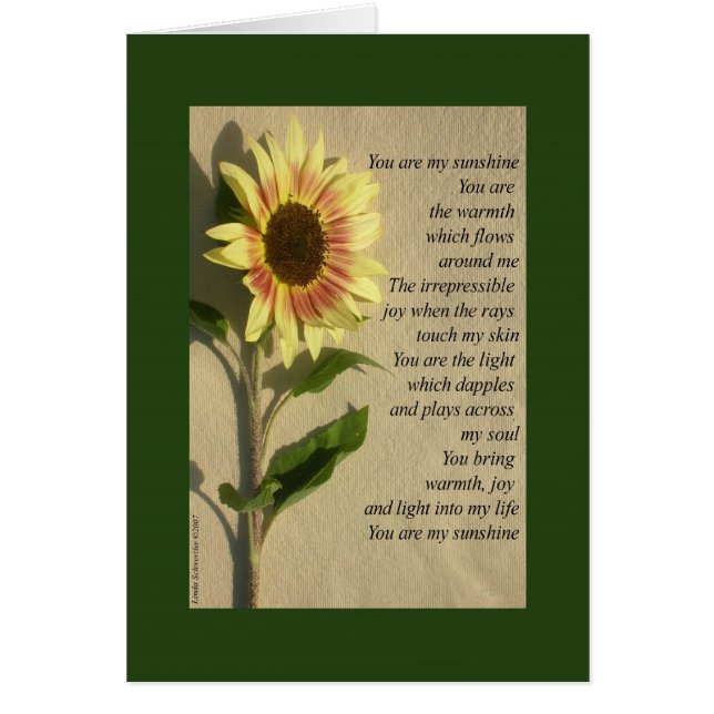 You Are My Sunshine verse (Front)