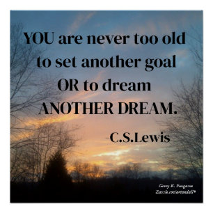 YOU ARE NEVER TOO OLD POSTER