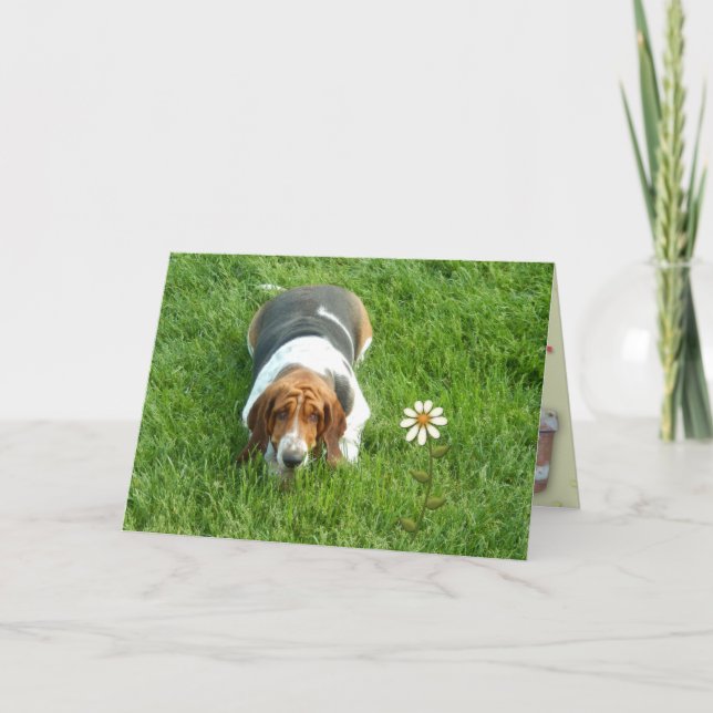 "You Are One In A Million" Birthday Card W/Basset (Front)