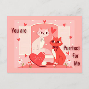 You are Purrfect for Me  Postcard