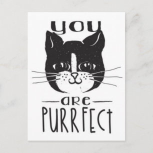You Are Purrfect Postcard