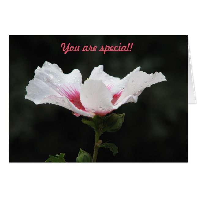 You are special (Front Horizontal)