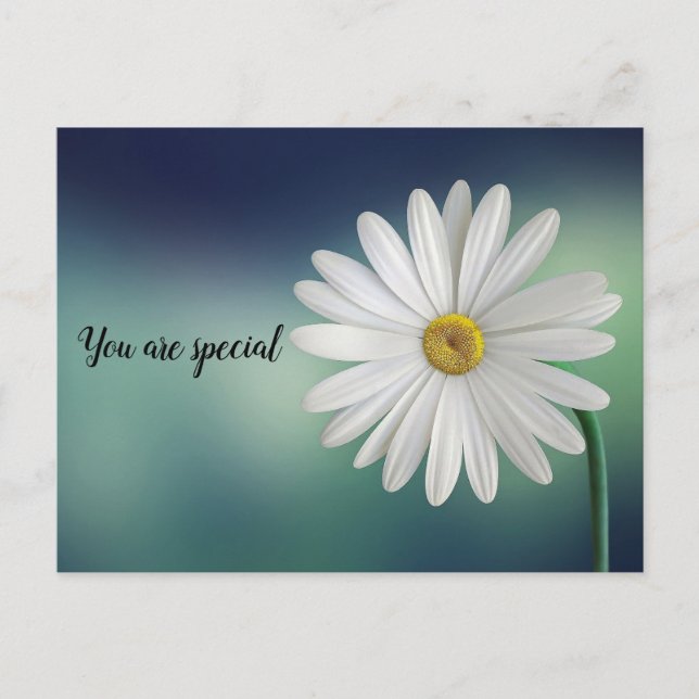 you are special postcard (Front)