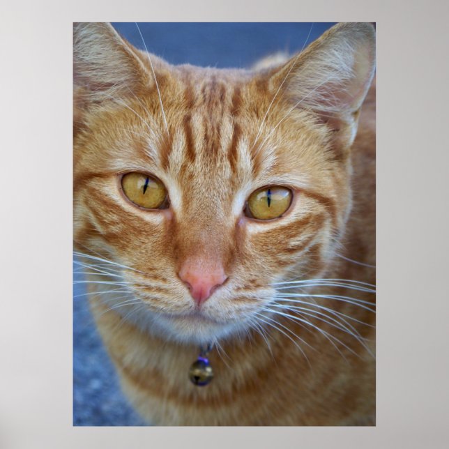 You are special_ Poster_by Elenne Boothe Poster (Front)