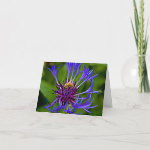 You are sweet as honey greeting card