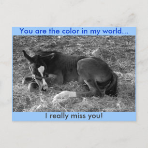 You are the colour in my world postcard