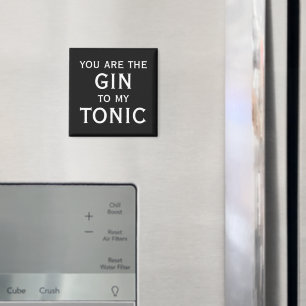 You are the gin to my tonic cute couples gift magnet