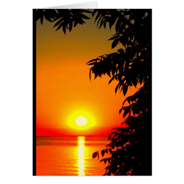 You Are The Sunshine Of My Life! (Front)