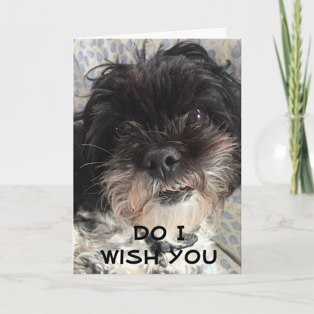 YOU BETCHA THAT I WISH YOU A *HAPPY BIRTHDAY* CARD (Front)