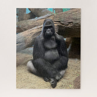 YOU BIG GORILLA puzzle