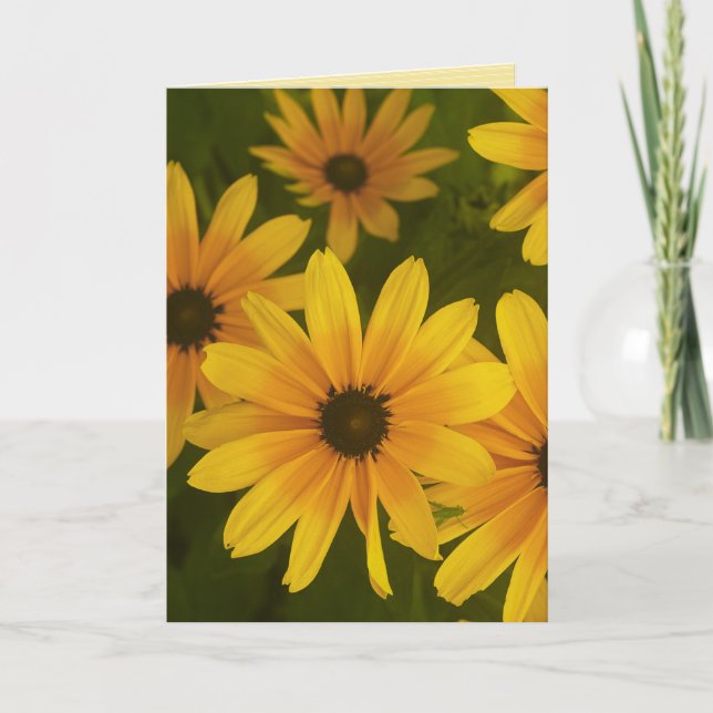 "you brighten my day" greeting card (Front)
