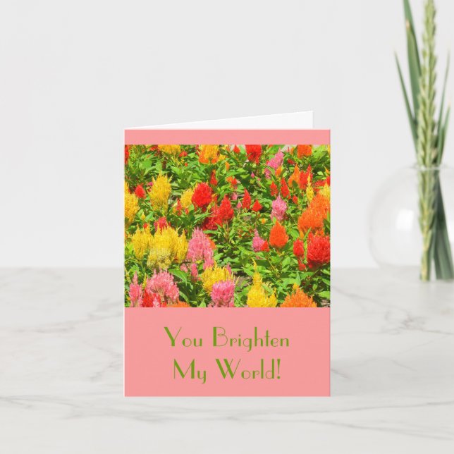 "YOU BRIGHTEN MY WORLD"/ANNIVERSARY CARD/CELOSIA CARD (Front)