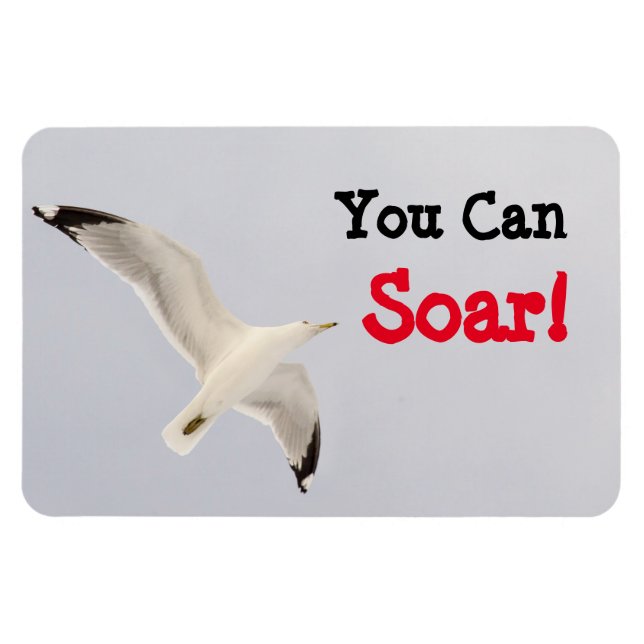 You Can Soar! Magnet (Horizontal)