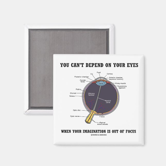 You Can't Depend On Your Eyes Imagination Focus Magnet (Front/Back)