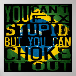 You can't fix stupid, but you can choke it out poster