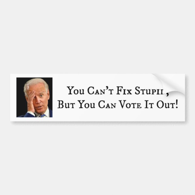 You Can't Fix Stupid, But You Can Vote It Out Bumper Sticker (Front)