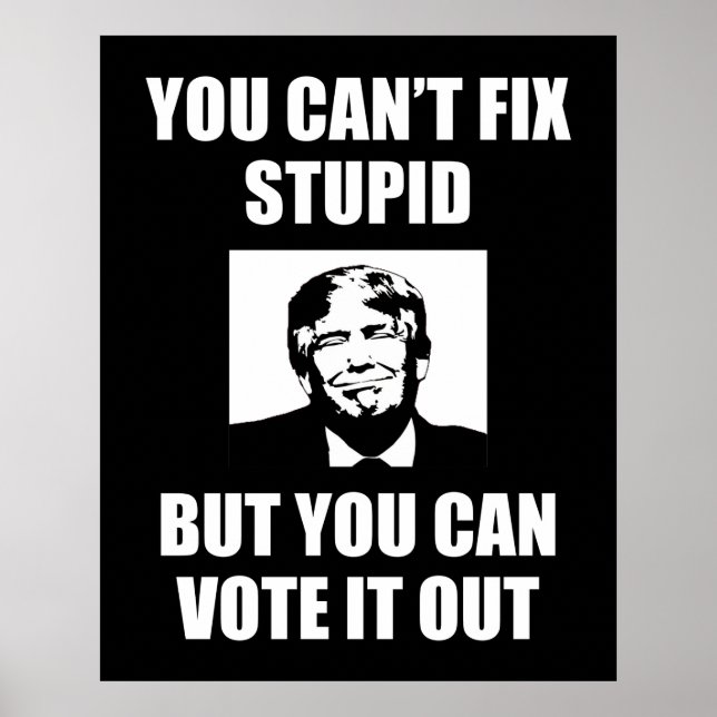 You Can't Fix Stupid Funny Anti-Trump Poster (Front)