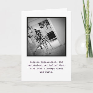 You Colour My World. Thanks! Thank You Card