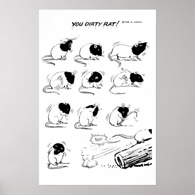 You Dirty Rat! Poster (Front)