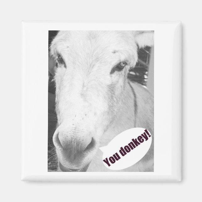 You donkey magnet (Front)