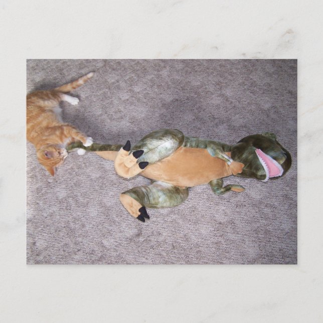 you dont scare me Postcard (Front)