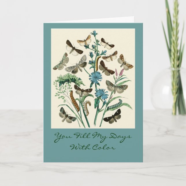 You Fill My Days With Colour Card (Front)