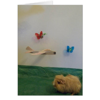 You fill my life with whimsy