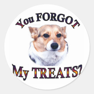 You FORGOT my treats Classic Round Sticker